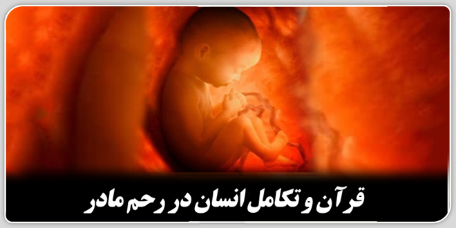 قرآن و تکامل انسان در رحم مادر